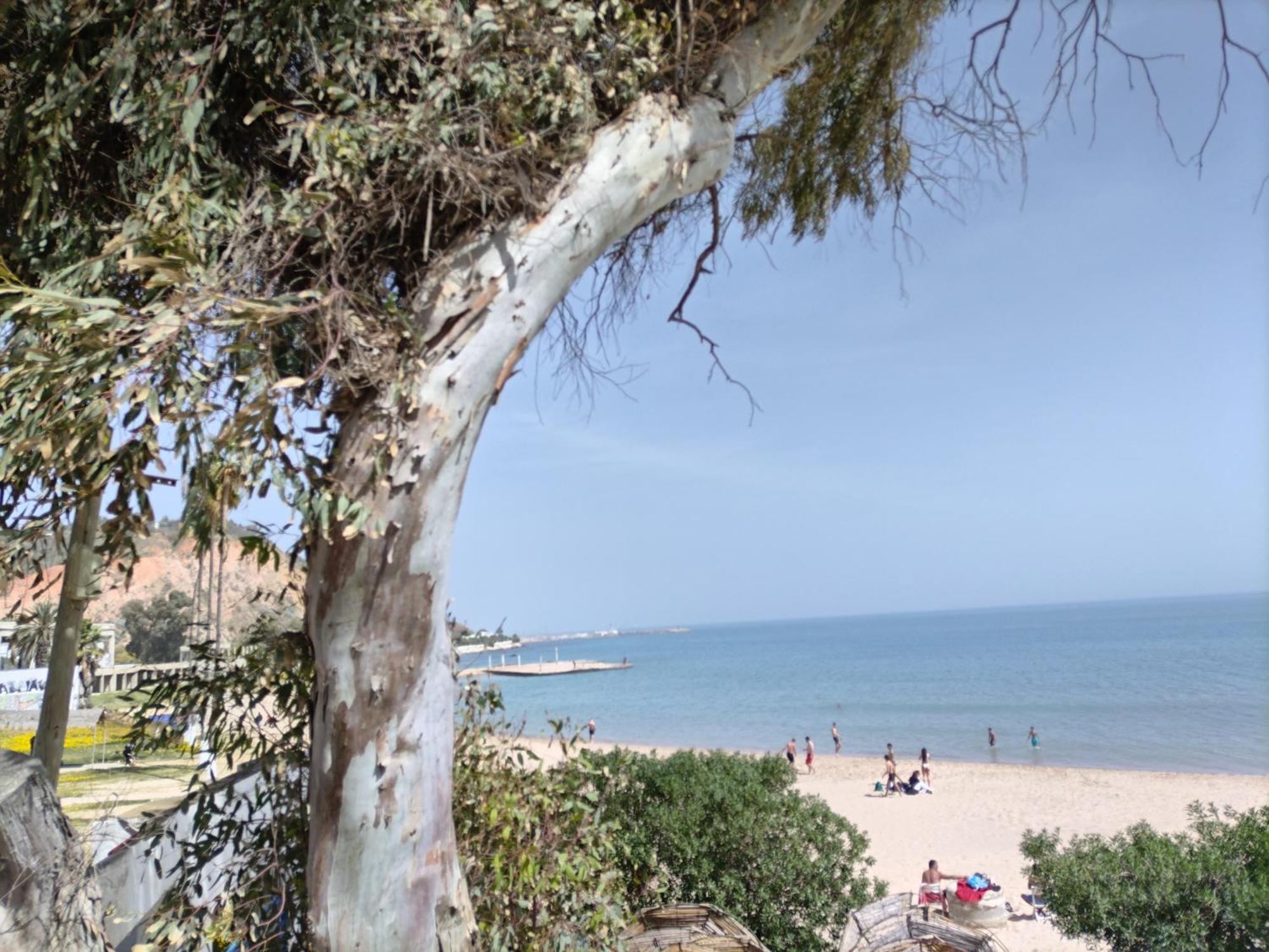 Marsa - Sidi Bousaid Lovely Authentic Apartment La Marsa Buitenkant foto